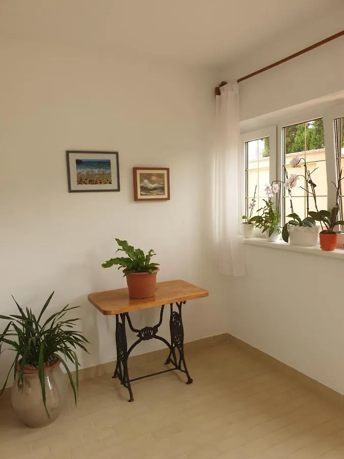 Apartments Davorka Banjol