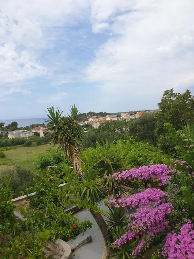 Apartments Davorka Banjol 0*,  Croatia