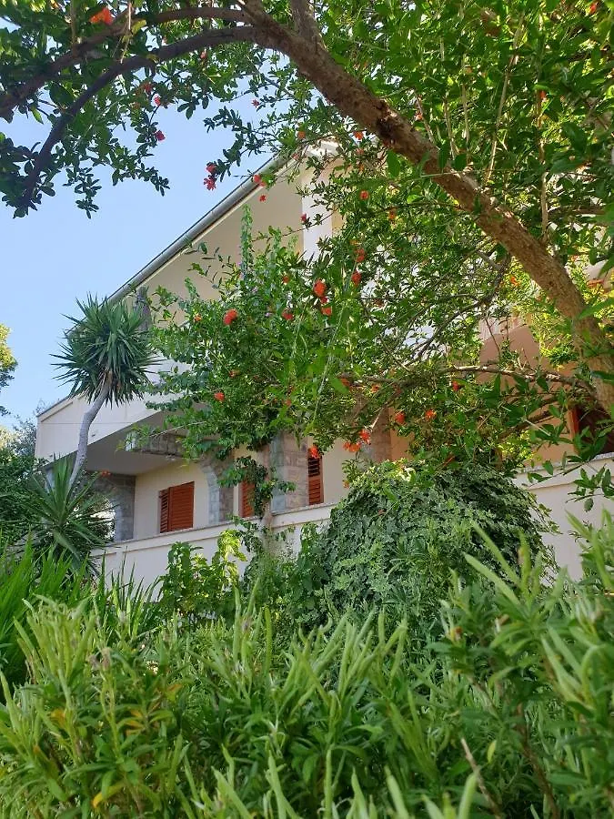 Apartments Davorka Banjol